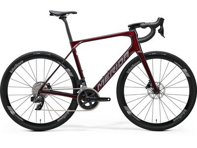 Merida Scultura Endurance Rival Edition Road Bike