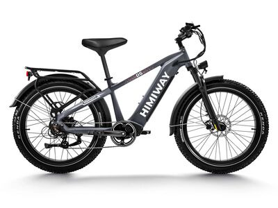 Himiway D5 (Zebra) All Terrain Ebike