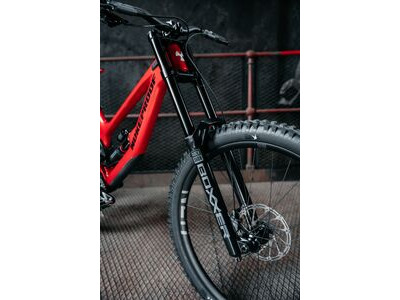Nukeproof Dissent Carbon Pro click to zoom image