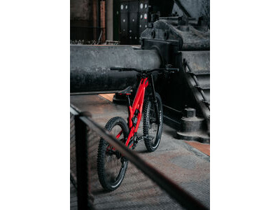 Nukeproof Dissent Carbon Pro click to zoom image